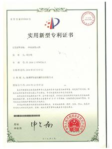Patent Certificate (2)