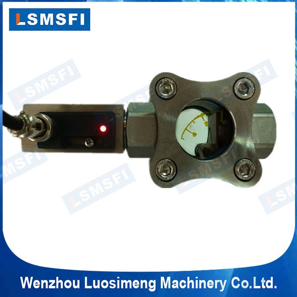 SG-ZT11-069E Sight Flow Transmitter